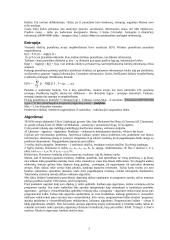 Algoritmų teorija 2 puslapis