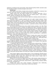 Anglijos valstybė ir teisė 6 puslapis