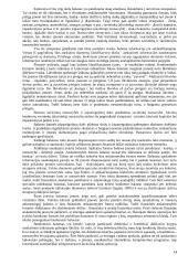 Finansinė ir valdymo apskaita 13 puslapis