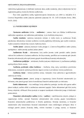 Audito samprata ir tikslai 2 puslapis