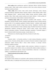 Audito samprata ir tikslai 11 puslapis