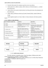 Audito samprata ir tikslai 14 puslapis