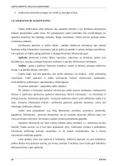 Audito samprata ir tikslai 16 puslapis