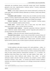 Audito samprata ir tikslai 3 puslapis