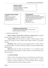 Audito samprata ir tikslai 5 puslapis