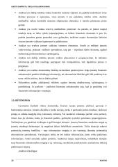 Audito samprata ir tikslai 6 puslapis