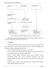 Audito samprata ir tikslai 8 puslapis