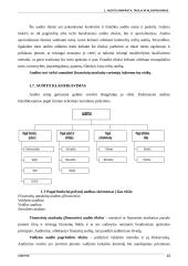 Audito samprata ir tikslai 9 puslapis