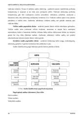 Audito samprata ir tikslai 10 puslapis