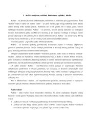 Audito samprata 2 puslapis