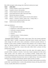 Audito samprata 15 puslapis