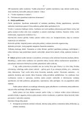 Audito samprata 17 puslapis