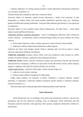 Audito samprata 20 puslapis