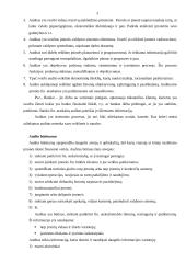 Audito samprata 3 puslapis