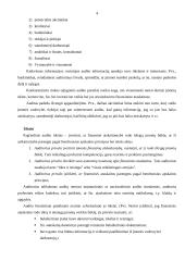 Audito samprata 4 puslapis