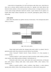 Audito samprata 5 puslapis