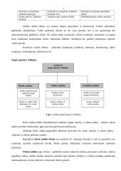 Audito samprata 7 puslapis