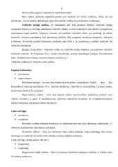 Audito samprata 8 puslapis