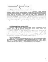 Automatinis dažninis apkrovos sumažinimas (ADN) 5 puslapis