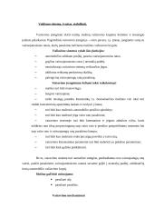 Automobilių įranga 11 puslapis