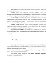 Automobilių įranga 13 puslapis