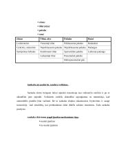 Automobilių įranga 3 puslapis