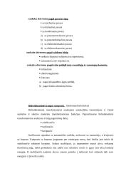 Automobilių įranga 4 puslapis