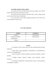 Automobilių įranga 5 puslapis