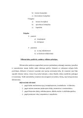 Automobilių įranga 10 puslapis