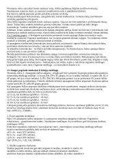 Automobilių kelių inžinerijos teorija 11 puslapis