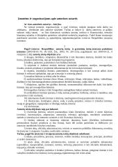Autorinės sutartys