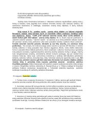 Autorinės sutartys 2 puslapis