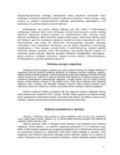 Baltymai, jų funkcijos 3 puslapis