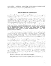 Baltymai, jų funkcijos 4 puslapis