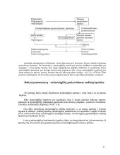 Baltymai, jų funkcijos 5 puslapis