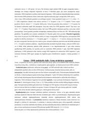 Bendroji ir žmogaus genetika 6 puslapis