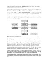 Biologinė evoliucija 5 puslapis