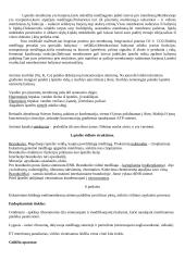 Citologijos teorija 2 puslapis