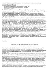 Citologijos teorija 12 puslapis