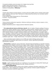 Citologijos teorija 3 puslapis