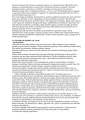 Čekija. Ekonomika 4 puslapis