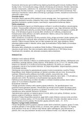 Čekija. Ekonomika 5 puslapis