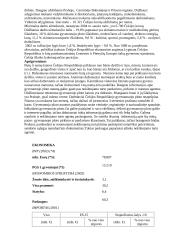 Čekija. Ekonomika 6 puslapis