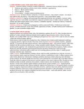 Dailės didaktikos teorija