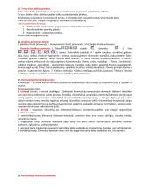 Dailės didaktikos teorija 11 puslapis