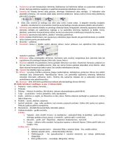 Dailės didaktikos teorija 12 puslapis