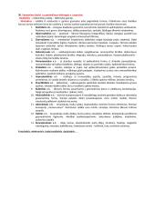 Dailės didaktikos teorija 13 puslapis