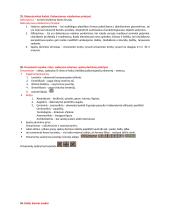 Dailės didaktikos teorija 14 puslapis