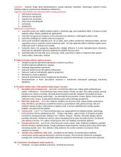 Dailės didaktikos teorija 4 puslapis