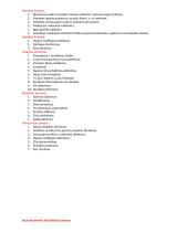 Dailės didaktikos teorija 8 puslapis